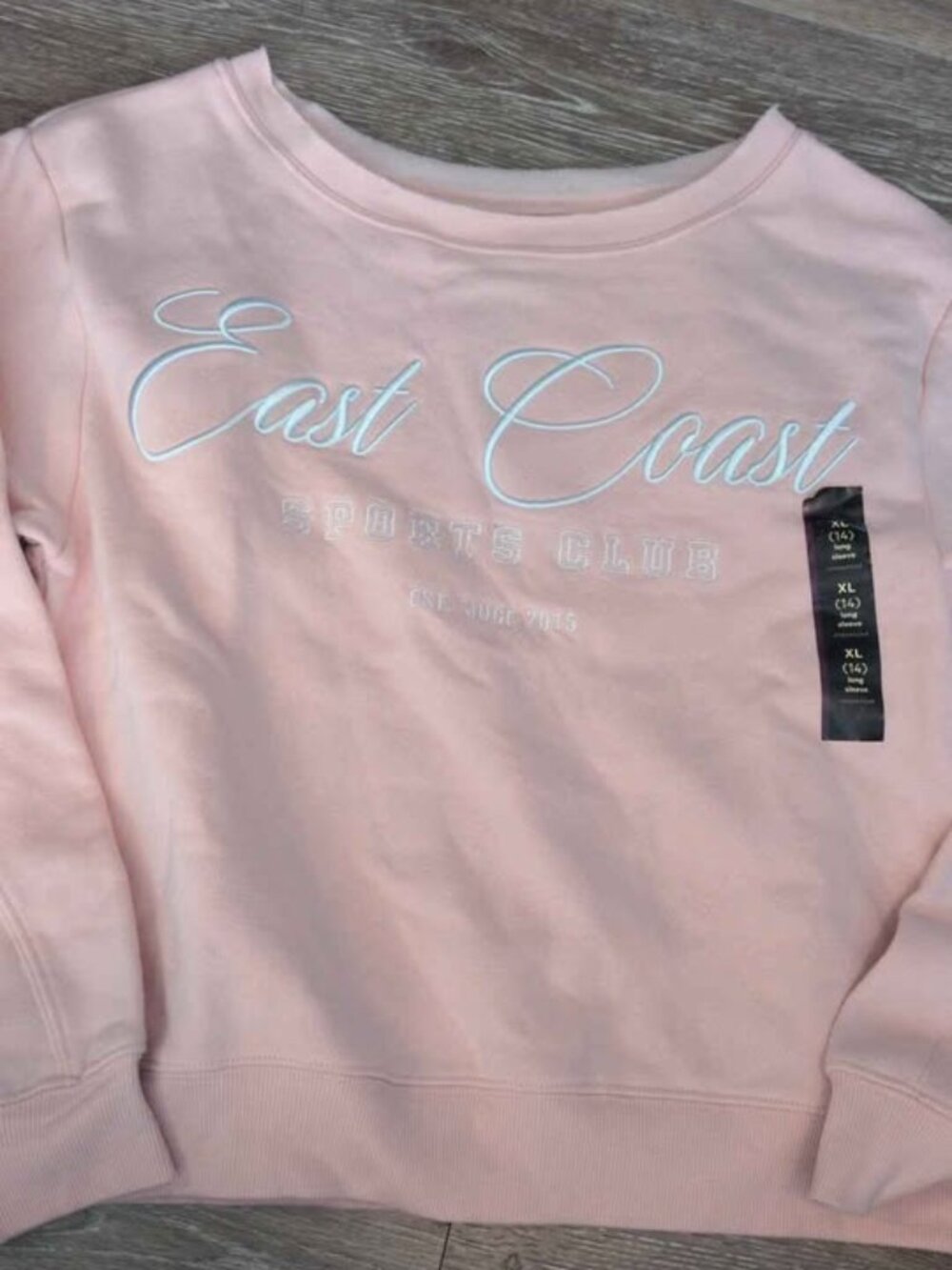 East Coast Sports Club Pink Sweatshirt Size XL (14) art class new girls
